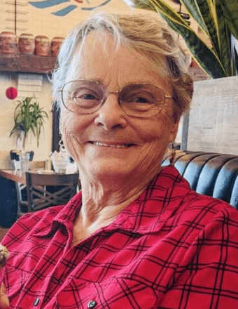 Joyce Elaine (Carnese) Diekman Obituary